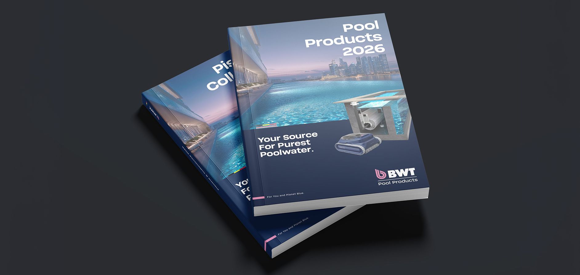1-cover-BWT.jpg
