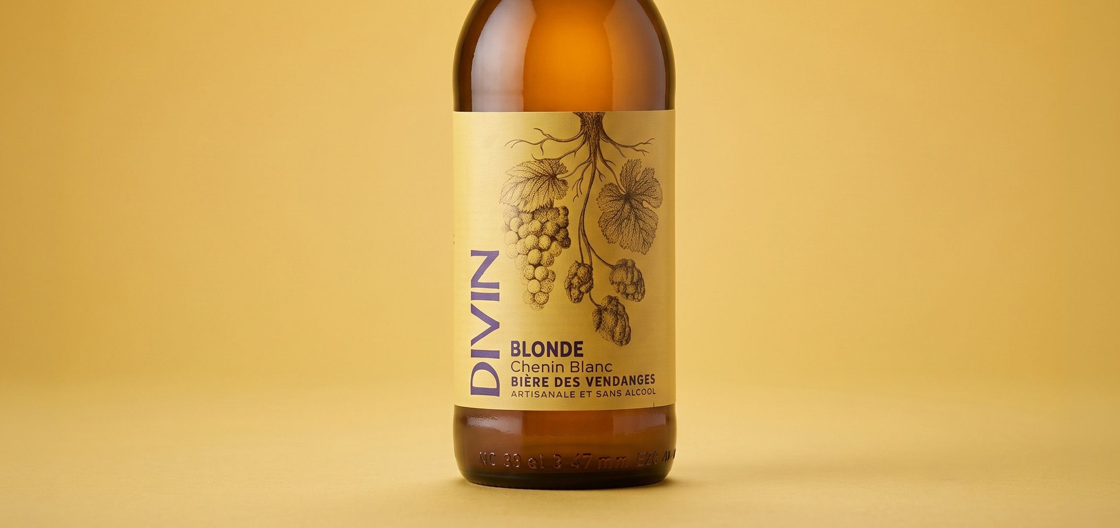 1-cover-divin.jpg
